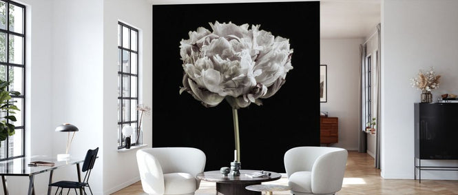 PHOTOWALL / Blush Peony Portrait (e335132)