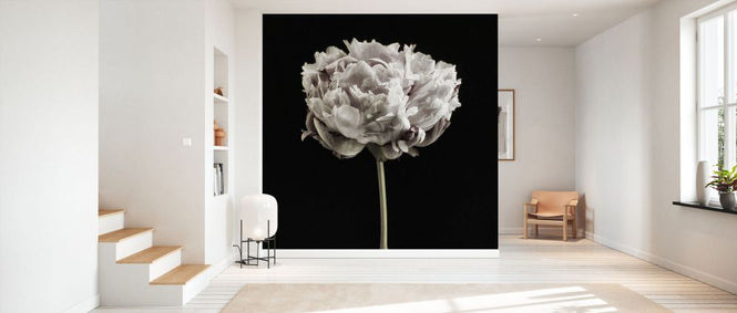 PHOTOWALL / Blush Peony Portrait (e335132)