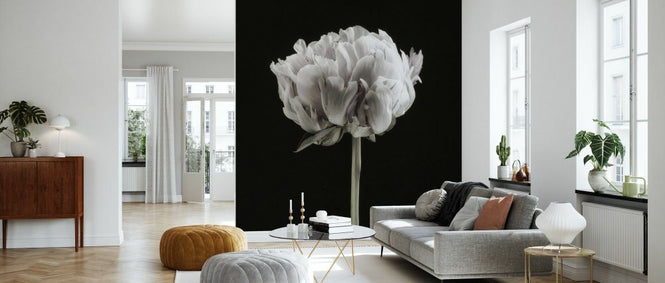 PHOTOWALL / Blush Peony Portrait II (e335133)
