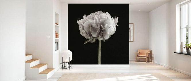 PHOTOWALL / Blush Peony Portrait II (e335133)