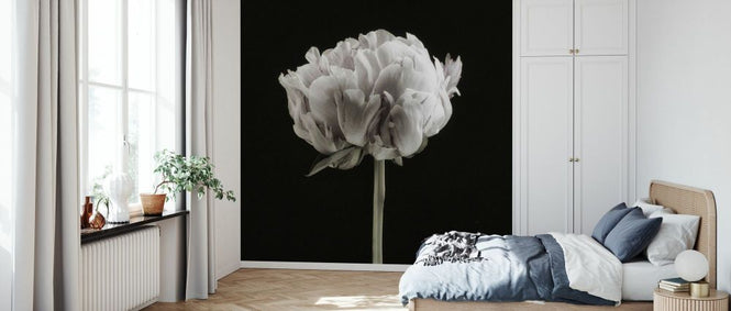 PHOTOWALL / Blush Peony Portrait II (e335133)