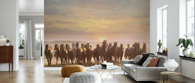 PHOTOWALL / Horse Motion (e335170)
