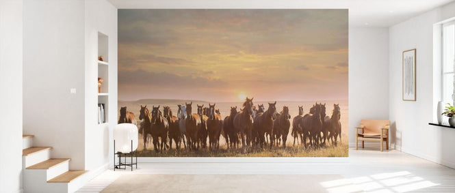 PHOTOWALL / Horse Motion (e335170)