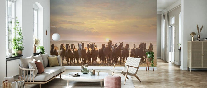 PHOTOWALL / Horse Motion (e335170)