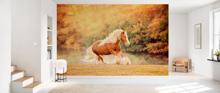 PHOTOWALL / Horse Motion II (e335171)