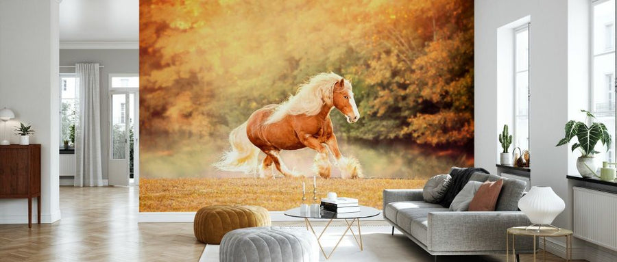 PHOTOWALL / Horse Motion II (e335171)