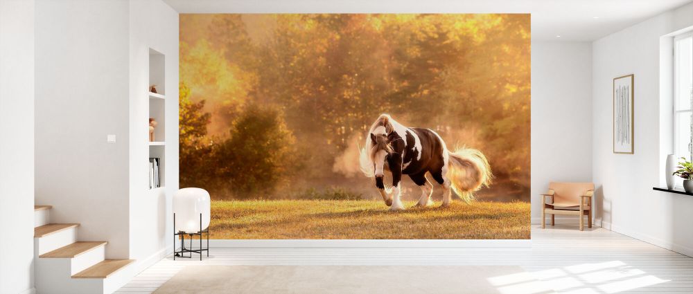 PHOTOWALL / Horse Motion III (e335172) | 輸入壁紙専門店 WALPA