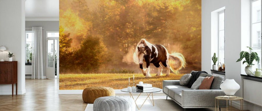 PHOTOWALL / Horse Motion III (e335172)