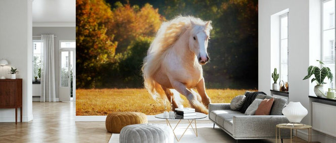 PHOTOWALL / Horse Motion IV (e335173)