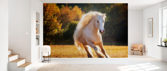 PHOTOWALL / Horse Motion IV (e335173)