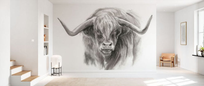 PHOTOWALL / Soft Focus Highland Cattle II (e335207)