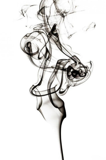 PHOTOWALL / Abstract Black Smoke - Tulip Dream (e335715)