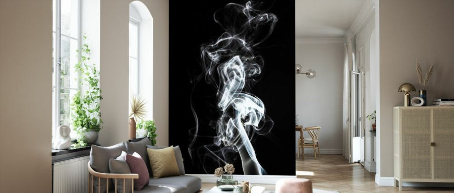 PHOTOWALL / Abstract White Smoke - Seahorse (e335718)