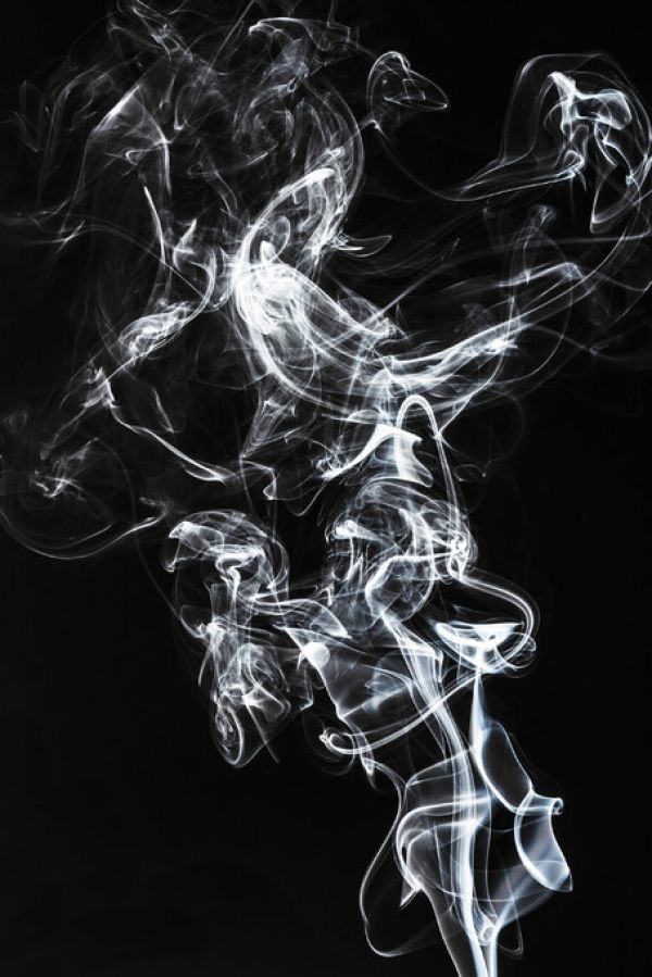 PHOTOWALL / Abstract White Smoke - Horse Fever (e335719)