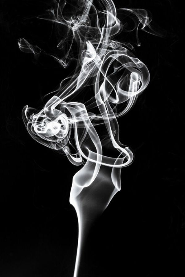 PHOTOWALL / Abstract White Smoke - Tulip Dream (e335726)