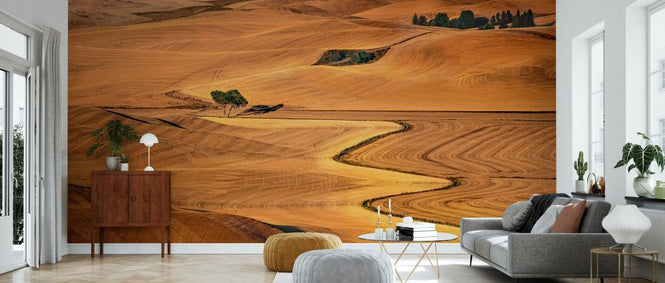 PHOTOWALL / Golden Palouse (e335654)