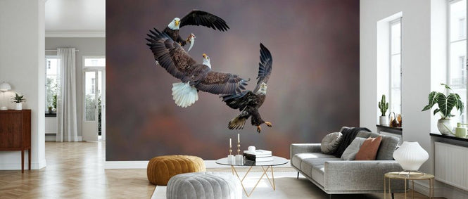 PHOTOWALL / Eagle Family (e335660)