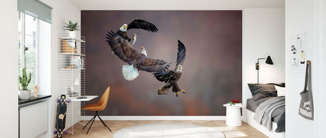 PHOTOWALL / Eagle Family (e335660)