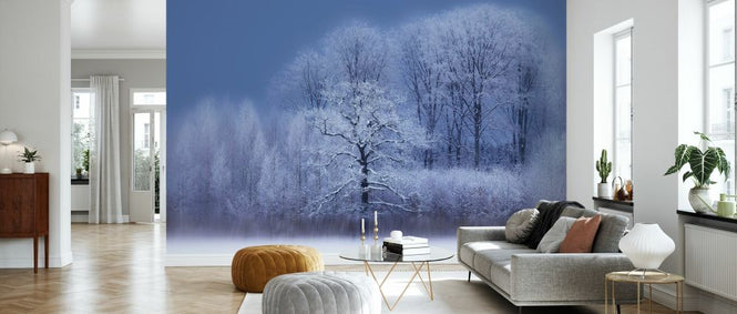 PHOTOWALL / Winter (e335680)