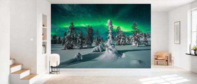 PHOTOWALL / Polar Night (e335688)