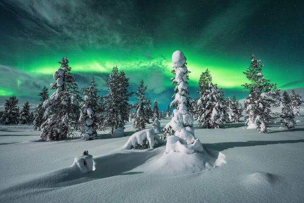 PHOTOWALL / Polar Night (e335688)