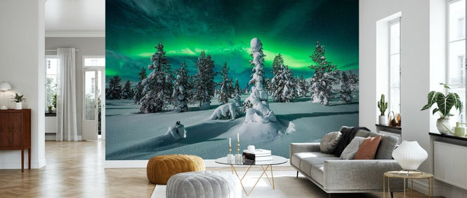 PHOTOWALL / Polar Night (e335688)