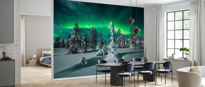PHOTOWALL / Polar Night (e335688)