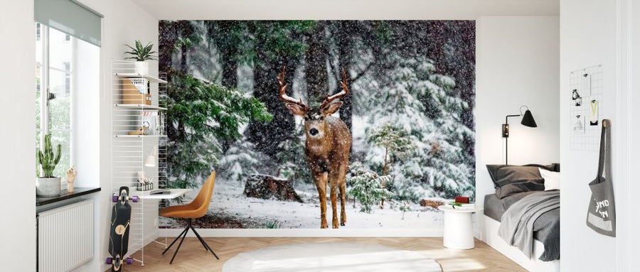 PHOTOWALL / Snow Storm and the Buck Deer (e335696)
