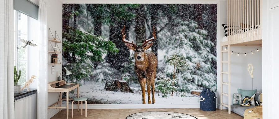 PHOTOWALL / Snow Storm and the Buck Deer (e335696)