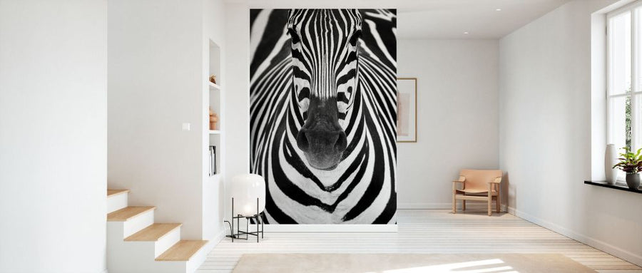 PHOTOWALL / Zebra (e336049)