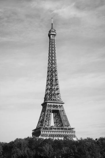 PHOTOWALL / Eiffel Tower Behind Trees (e336108)