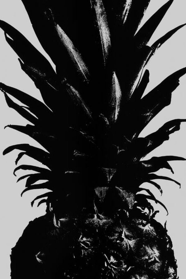 PHOTOWALL / Pineapple - BW (e336110)