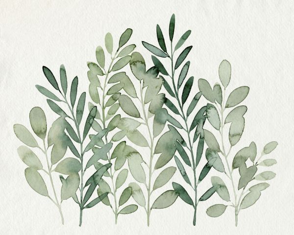 PHOTOWALL / Foraged Greens (e336162)