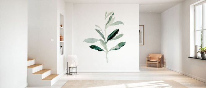 PHOTOWALL / Summer Olive Branch II (e336228)