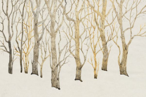 PHOTOWALL / Bare Trees (e336254)