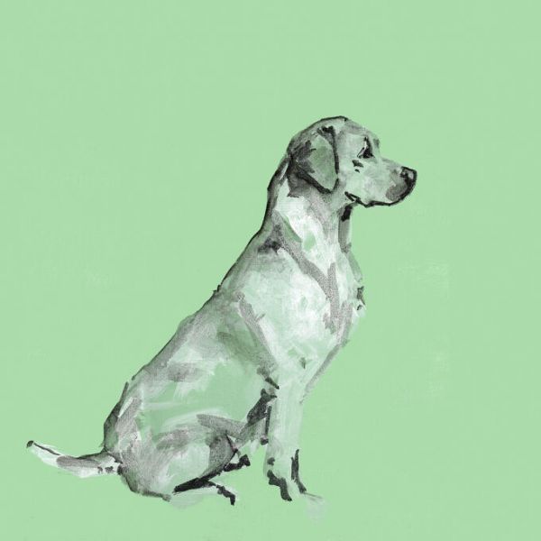 PHOTOWALL / A Very Pop Modern Dog III (e336268)