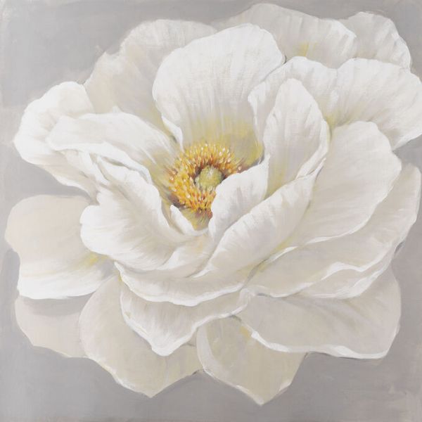 PHOTOWALL / White Peony (e336292)