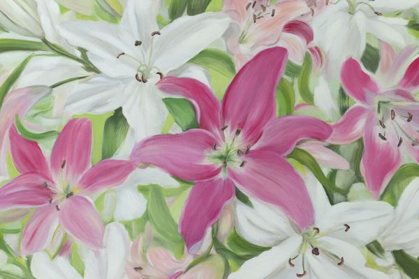 PHOTOWALL / Pink and White Lilies (e336386)