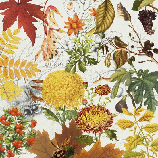 PHOTOWALL / Botanical Gardens Autumn (e336844)