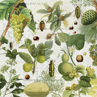 PHOTOWALL / Botanical Gardens Greens (e336845) | 輸入壁紙専門店