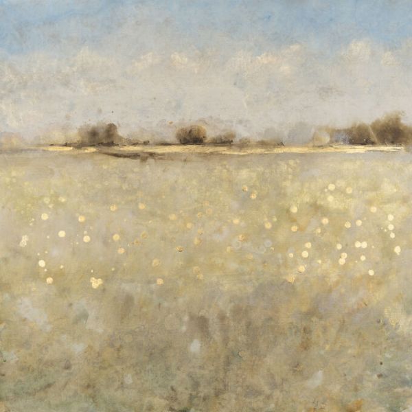 PHOTOWALL / Meadow Plane (e336529)