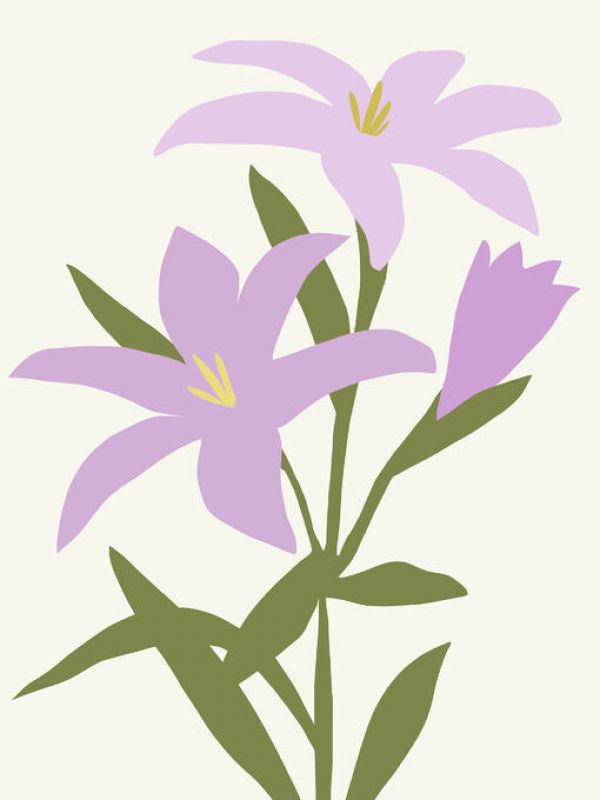 PHOTOWALL / Graphic Botanic (e336560)
