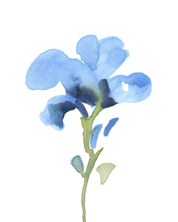 PHOTOWALL / Striking Blueris (e336633)