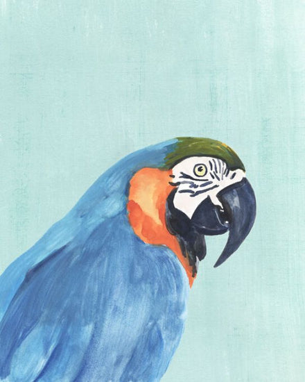 PHOTOWALL / Exotic Bird on Blue (e336665)