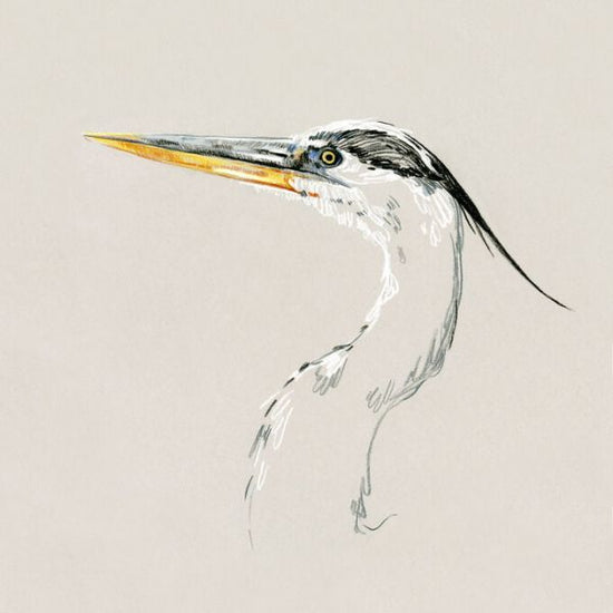 PHOTOWALL / Bright Heron Sketch II (e336677)