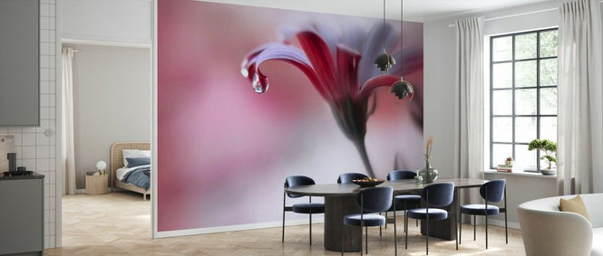 PHOTOWALL / Invisible Touch (e337054)