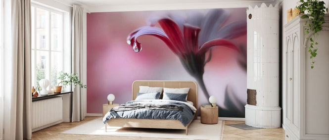 PHOTOWALL / Invisible Touch (e337054)