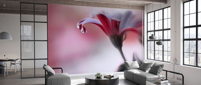 PHOTOWALL / Invisible Touch (e337054)