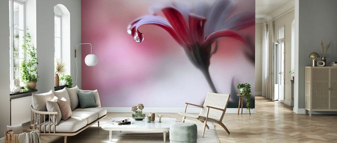 PHOTOWALL / Invisible Touch (e337054)