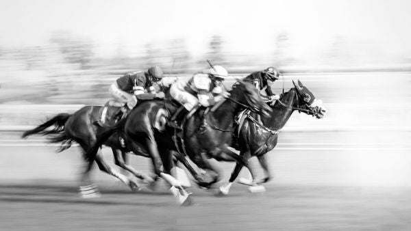PHOTOWALL / Horse Racing at Queen's Plate (e337078)